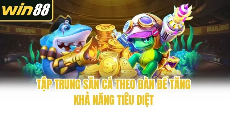 Tập trung săn cá theo đàn để tăng khả năng tiêu diệt